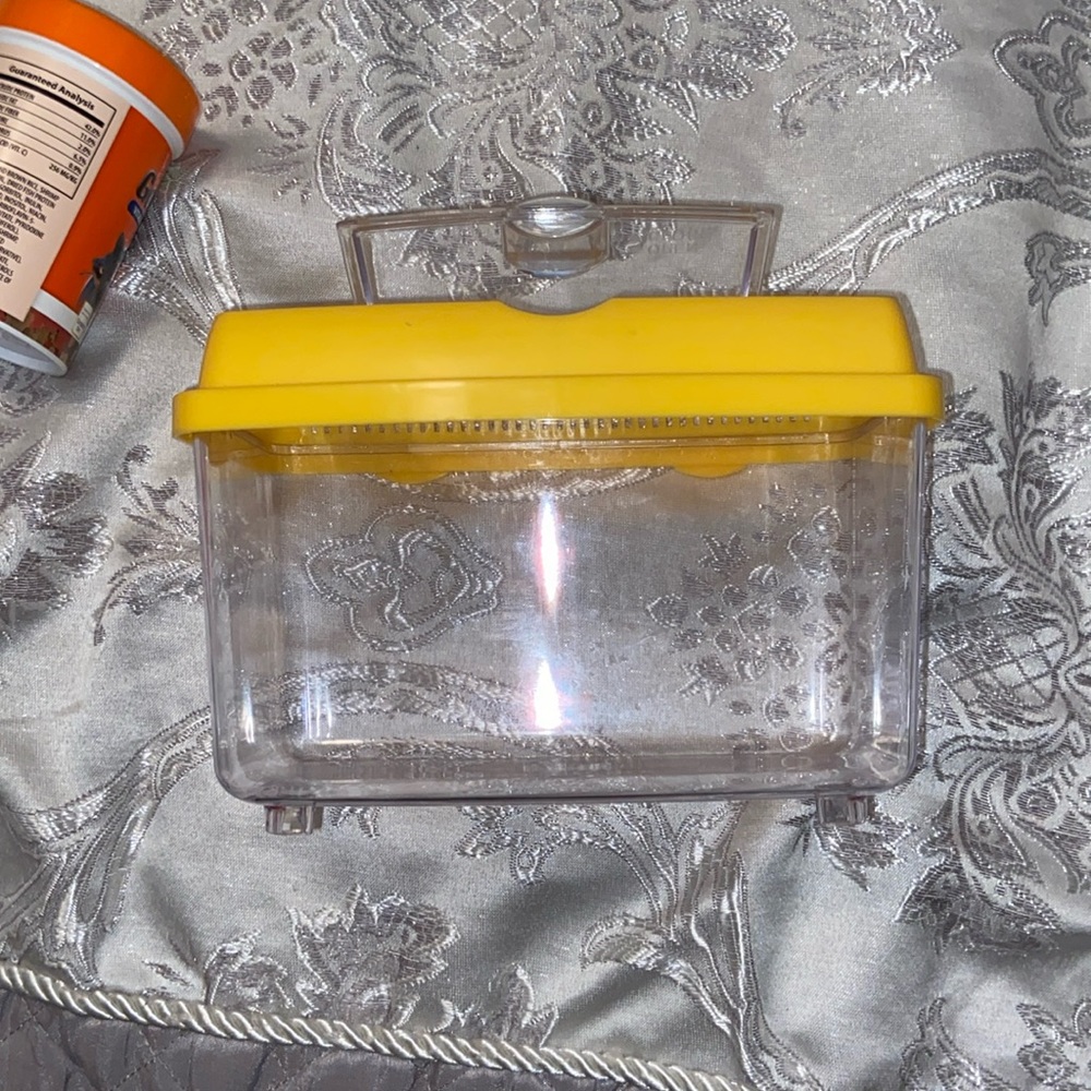 Small fish traveling container